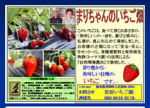 12月25日直売.png