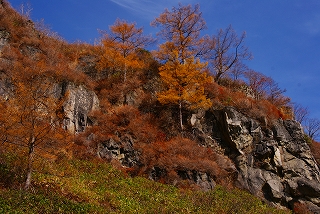 11,12日掲載2DSC04478.jpg