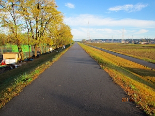 11,19日掲載3.jpg