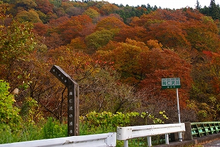 縮小DSC04497.jpg