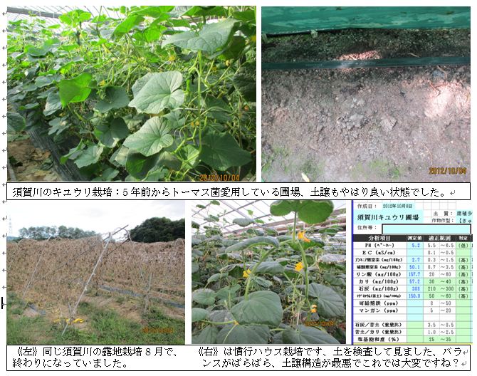 10-7日掲載_1.png