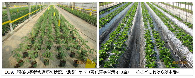 CapD20121010.png