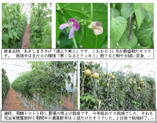 岐阜ダブル.png