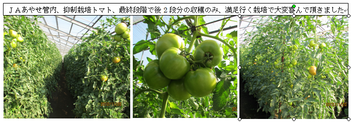 CapD20121124.png